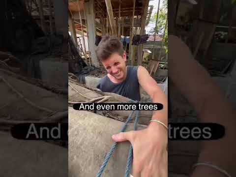 Protect your trees – they will out live you 🫶🏼